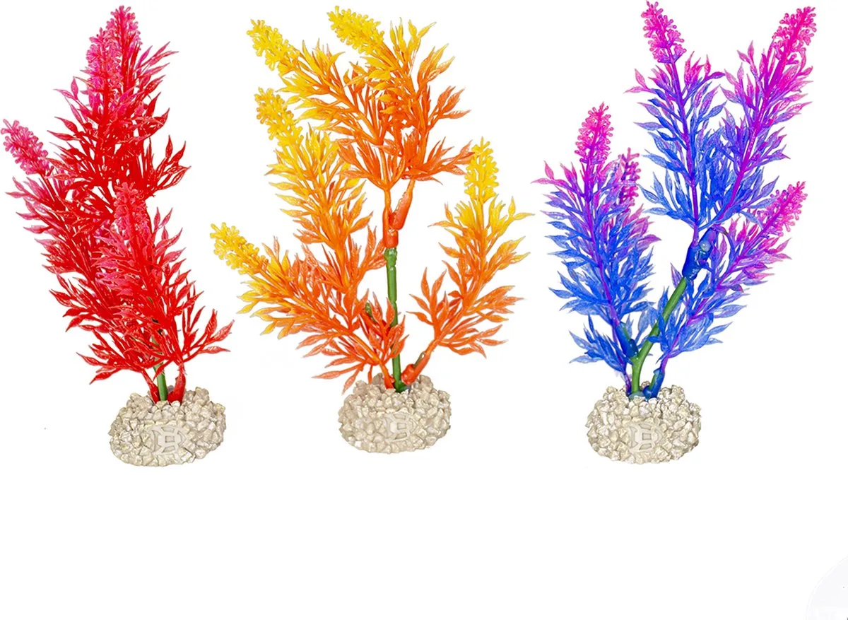 Aquariumplanten (voeding) - Vissen - Plant Elodea Densa S - Height 13cm - 1st från Aqua Della i Gemengde Kleuren – produktbild
