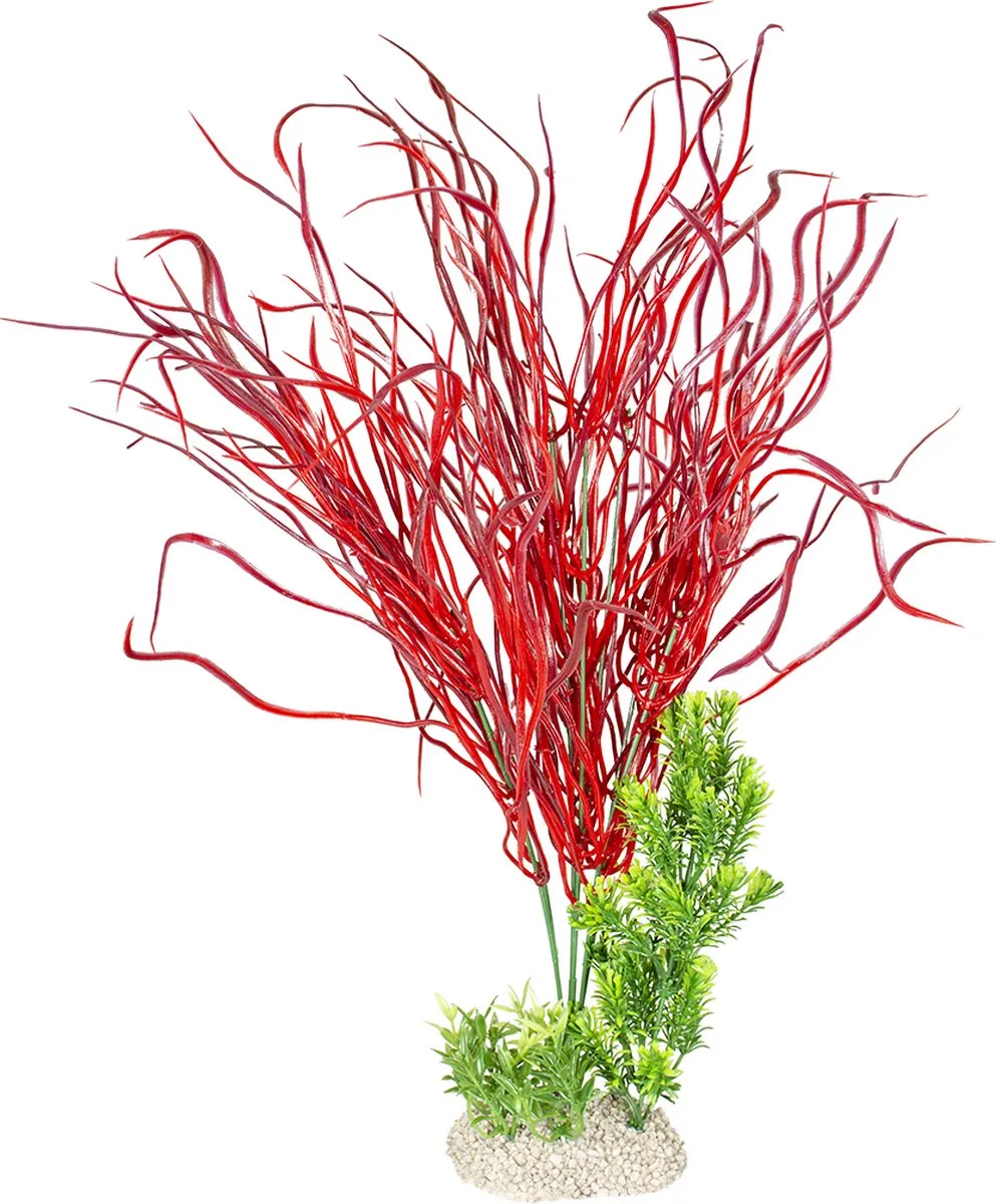 Aquariumplanten (voeding) - Vissen - Plant Lily Grass Xl - Height 50cm - 1st von Aqua Della in Gemengde Kleuren – Produktfoto