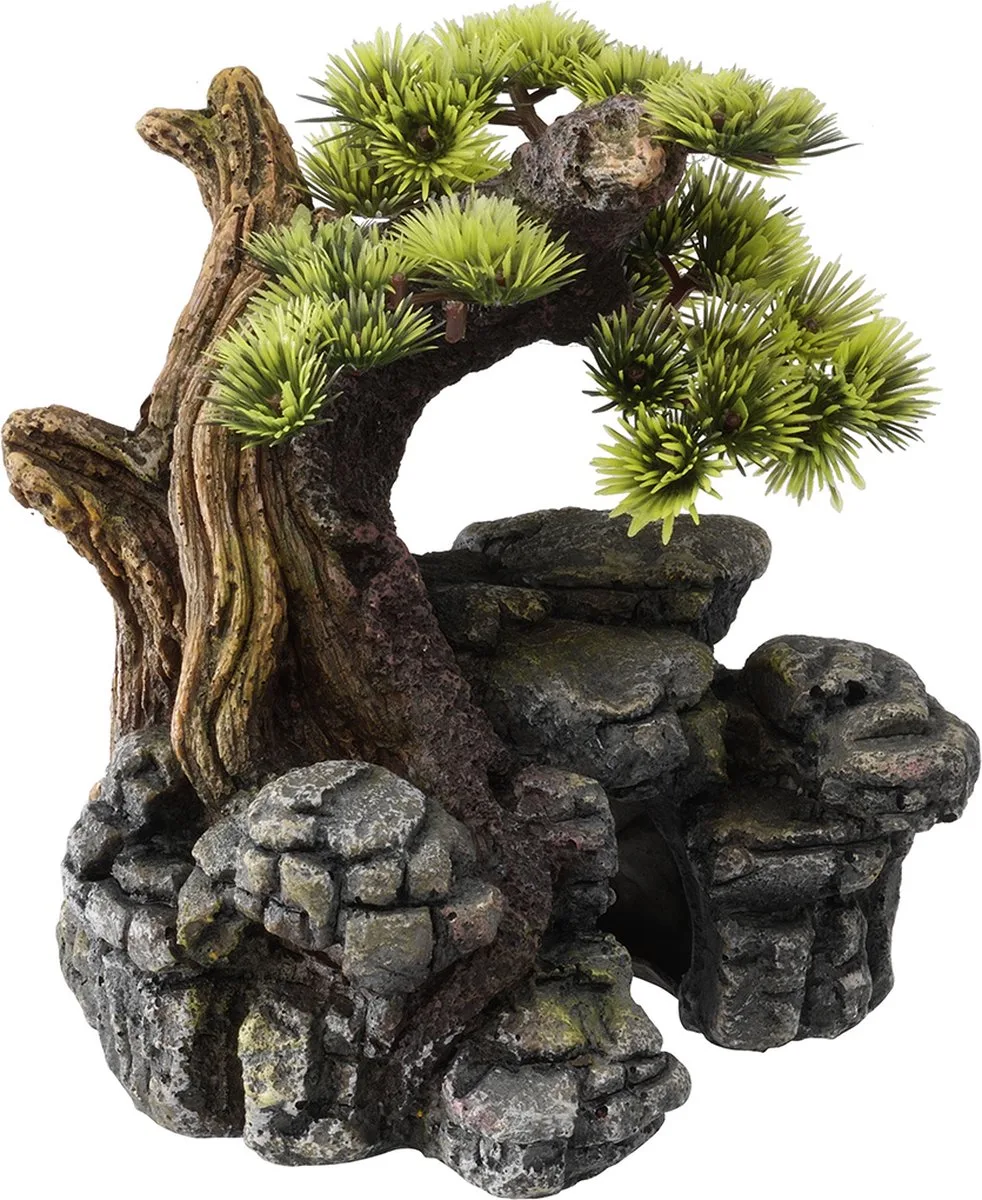 Bonsai - Aquariumdecoratie - 16.5 x 16.5 x 18 cm de Aqua Della en <> – photo produit