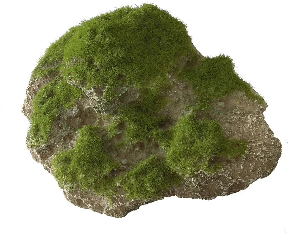 Decor Moss Stone Met Zuignap Large 17x11x13.5 cm van Aqua Della in <> – productfoto