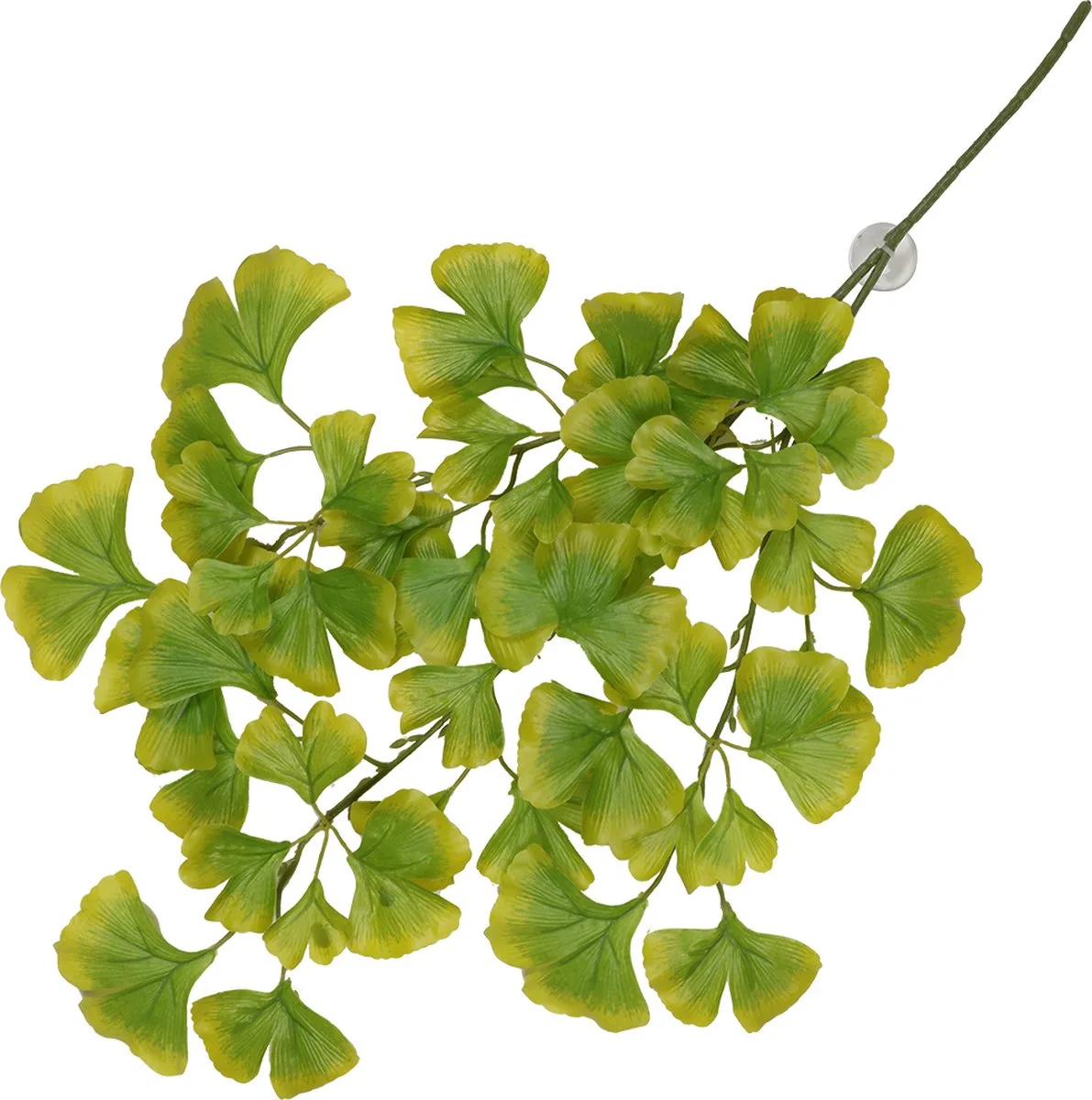 hangende plant ginko 63x36x5cm de Aqua Della en Vert – photo produit