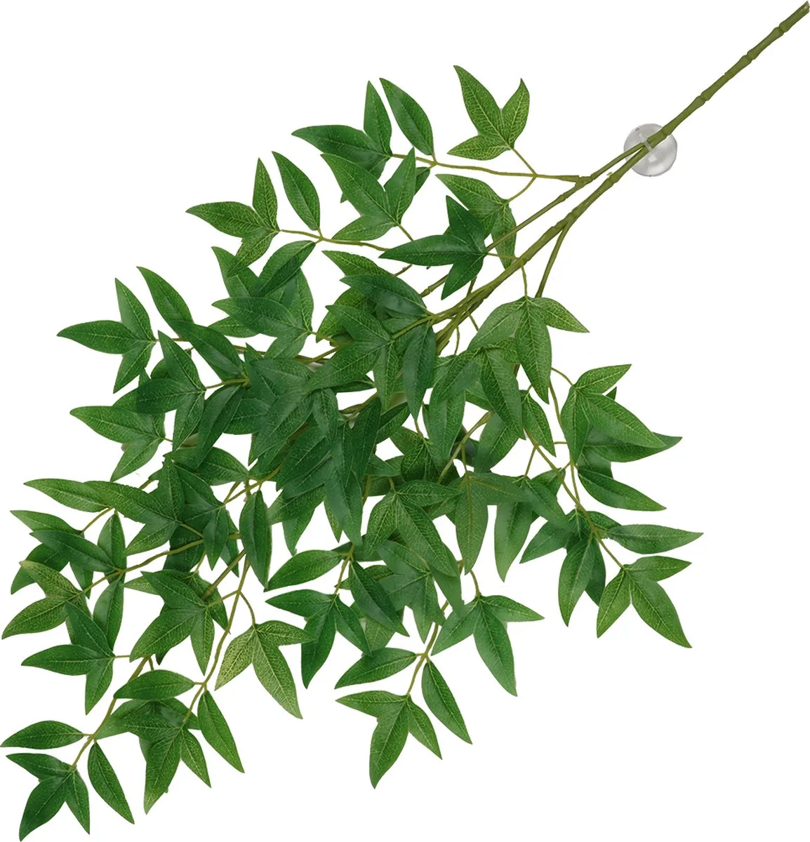 hangende plant nandina 65x35x1,5cm by Aqua Della in Green – product photo