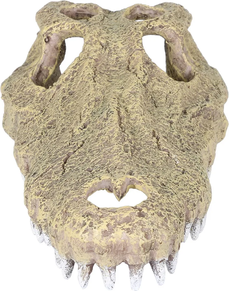 Krokodil Schedel - Aquarium - Ornament - 28.5x14.5x8 cm de Aqua Della en <> – photo produit