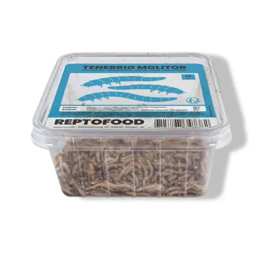 Meelwormen bakje 50g Reptofood Aquadistri by AquaDistri – product photo