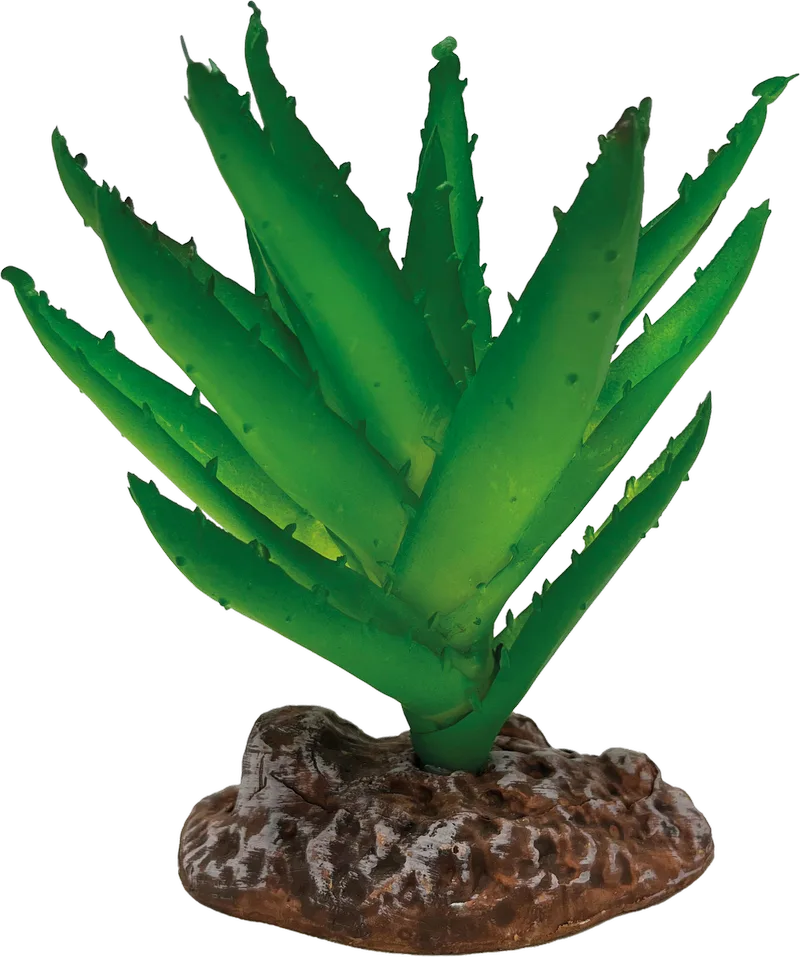 Repto Plant Aloe Vera de AquaDistri – photo produit