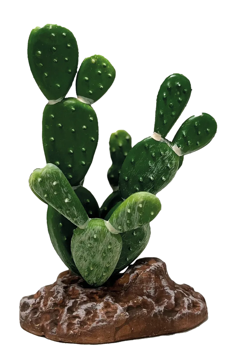 Repto Plant Cactus Opuntia de AquaDistri – photo produit