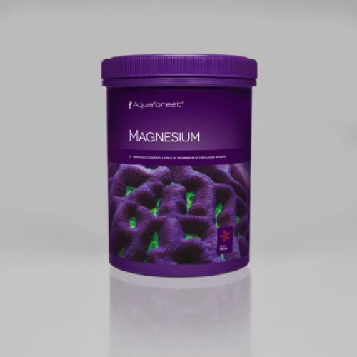 Magnesium Salt 750g