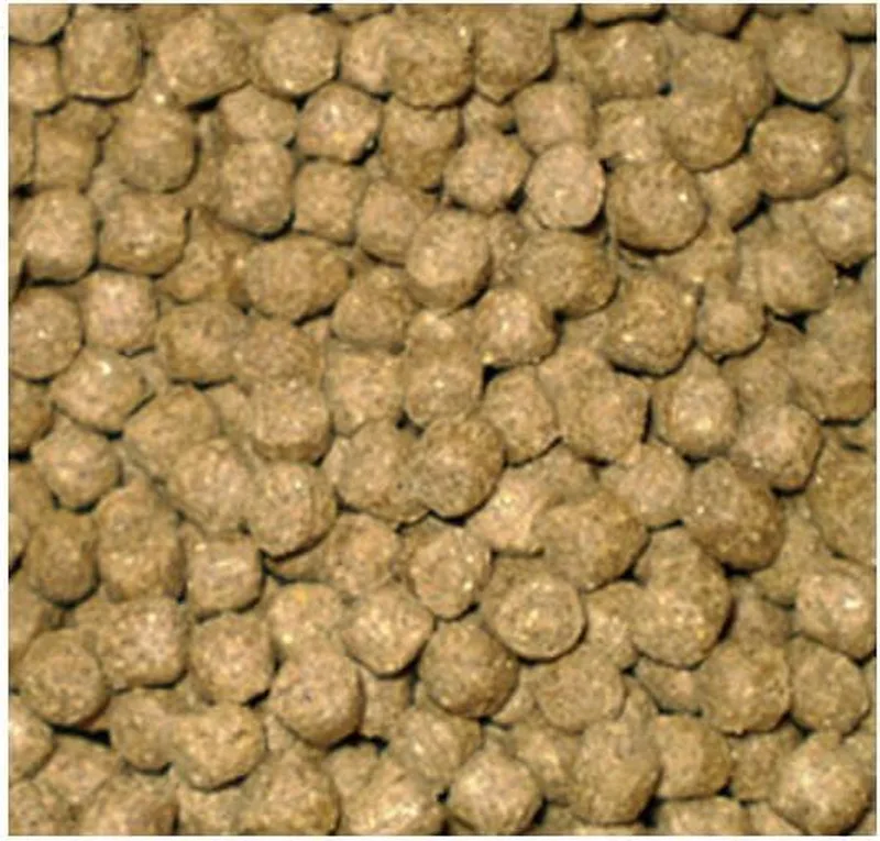 Wheat Germ Drijvend Koivoer - 15 Kilo (6 mm) by AquaForte – product photo