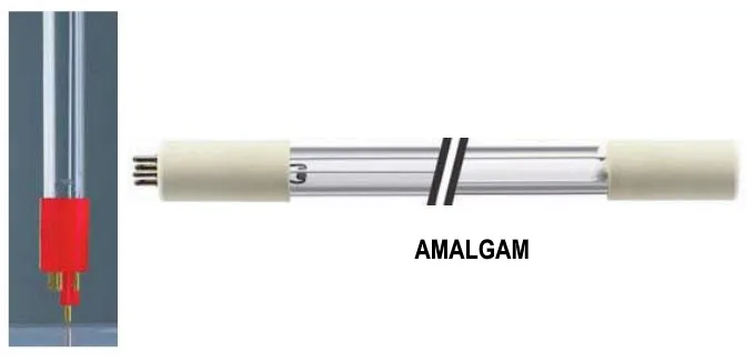 xClear UV-C Ersatzlampen von AquaForte – Produktfoto