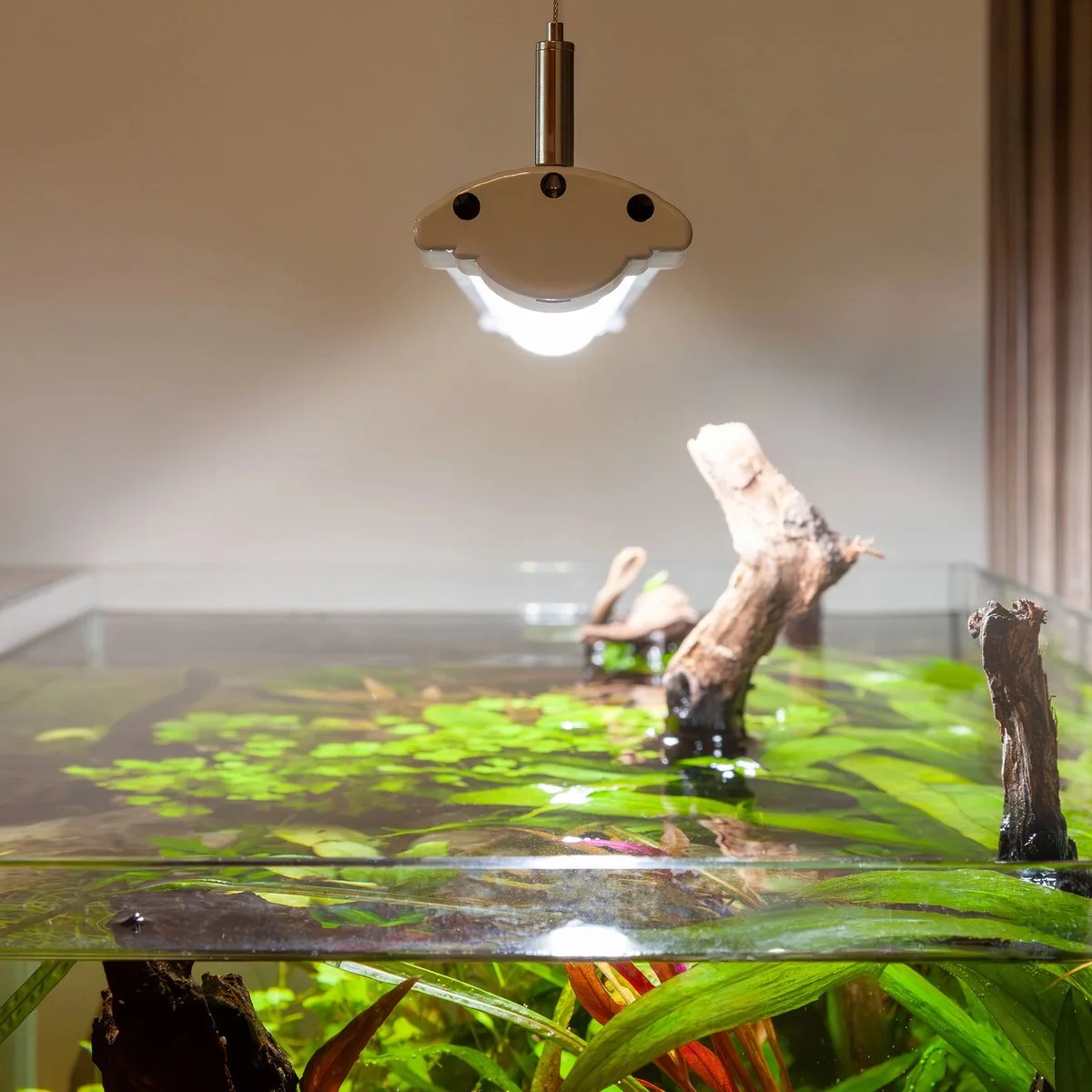 EasyLED Universal Ultra - OPRUIMING de Aquatlantis en Color – photo produit