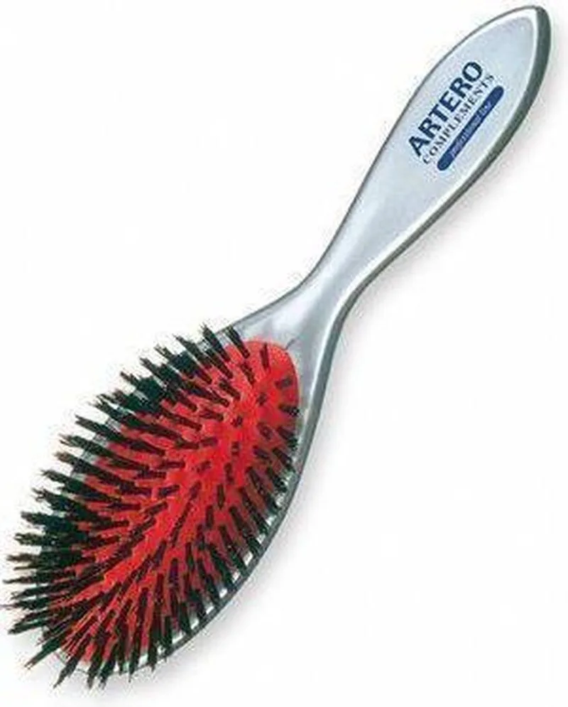 Borstel Met Zwijnenhaar de Artero – photo produit