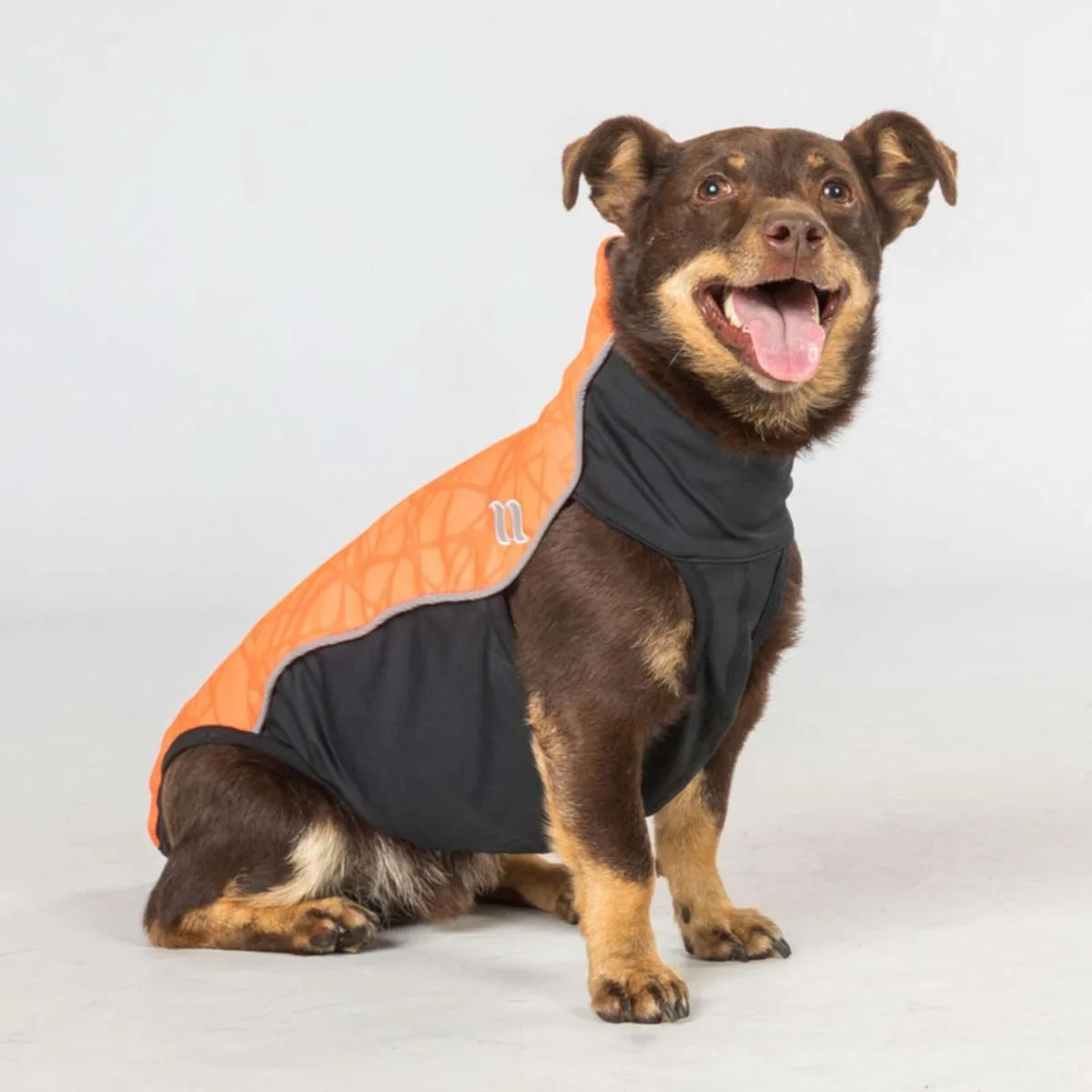Hondendeken Eddie High Visibility-60 von Back on Track in Orange – Produktfoto