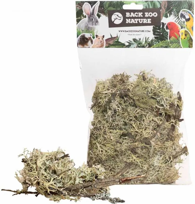 Binnenvogels- Bodembedekking- Branch mos- Natuurlijk mos- Siervogels von Back Zoo Nature – Produktfoto