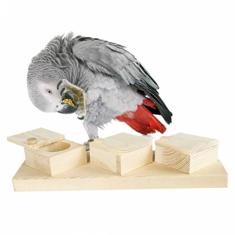 Brain Trainer Cups by Back Zoo Nature – product photo