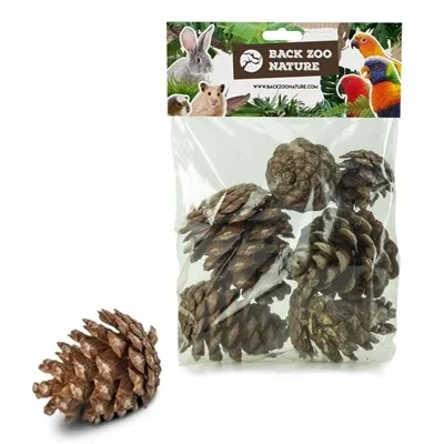 Dennenappels Vogelspeelgoed 6 st van Back Zoo Nature – productfoto