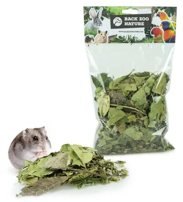Discovery Leaves Orchard van Back Zoo Nature – productfoto