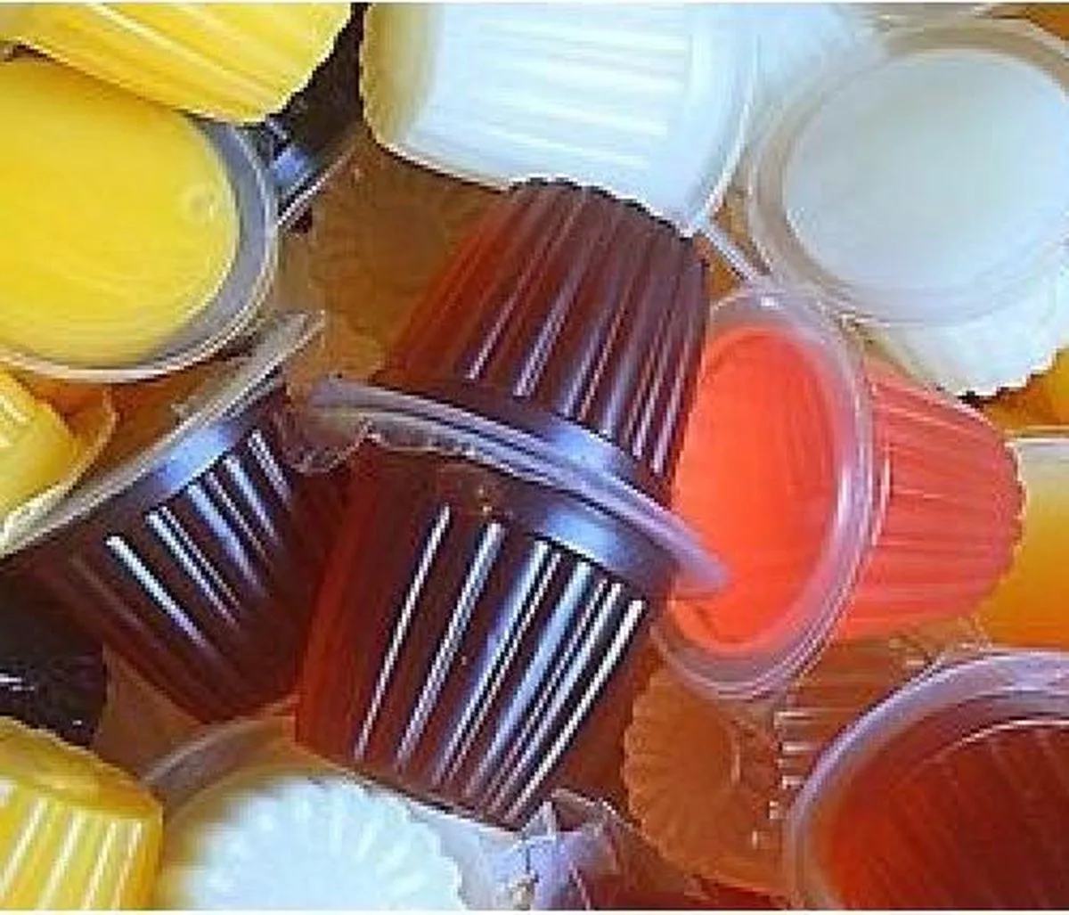 Fruitcups - Fruitkuipjes Mix 25stuks von Back Zoo Nature – Produktfoto