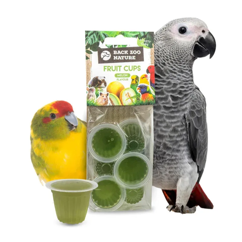 Fruitkuipje Meloen 6st. van Back Zoo Nature – productfoto