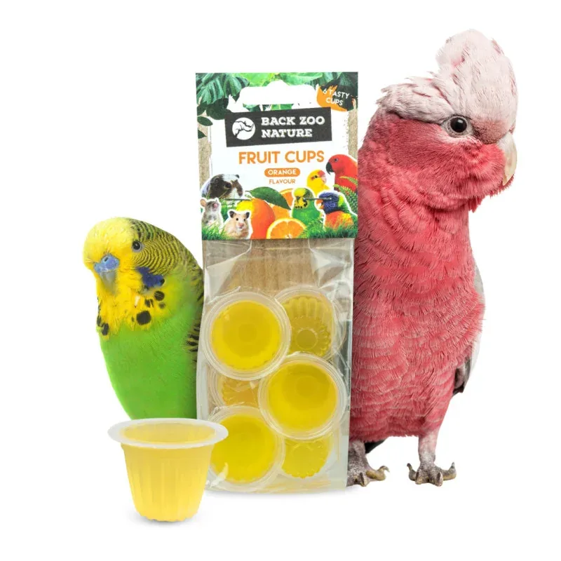 Fruitkuipje Sinaasappel 6st. de Back Zoo Nature – photo produit