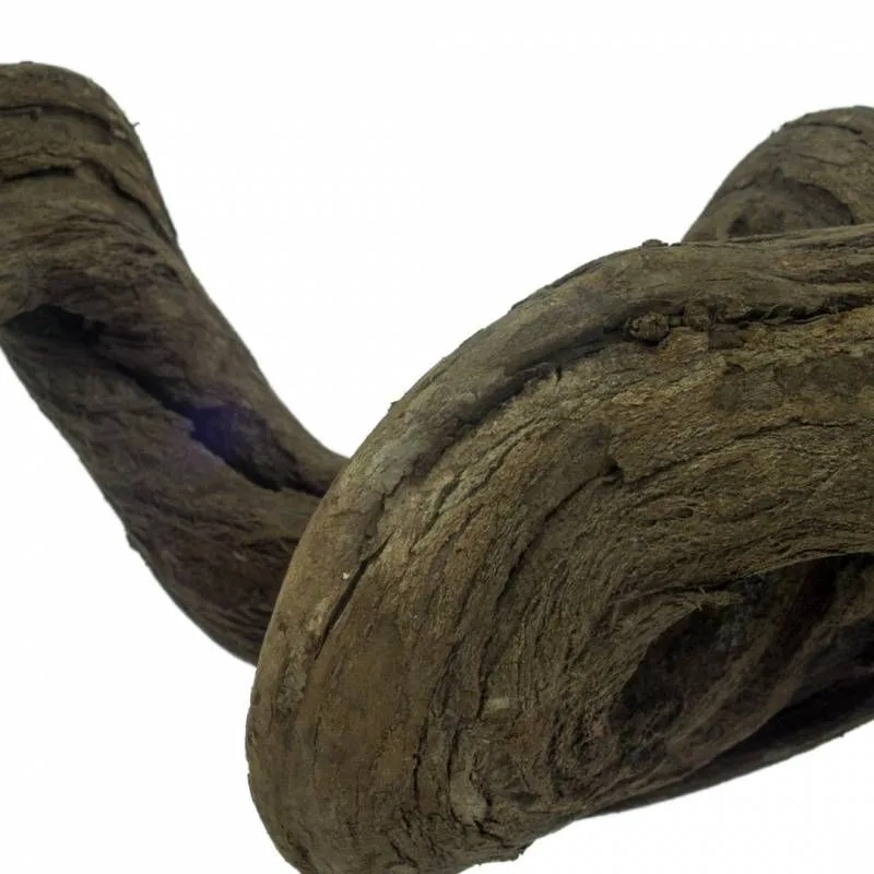 Liaan Snakewood ca. 100cm. de Back Zoo Nature – photo produit
