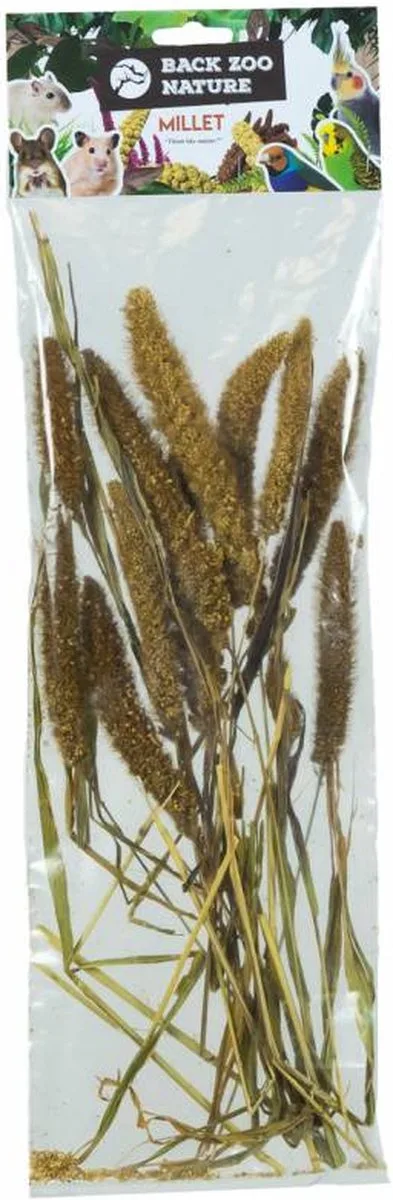 Millet Setaria Italica 50 Gr