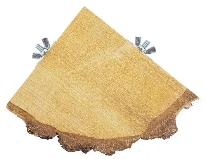 Quarter Wood Slice by Back Zoo Nature – product photo