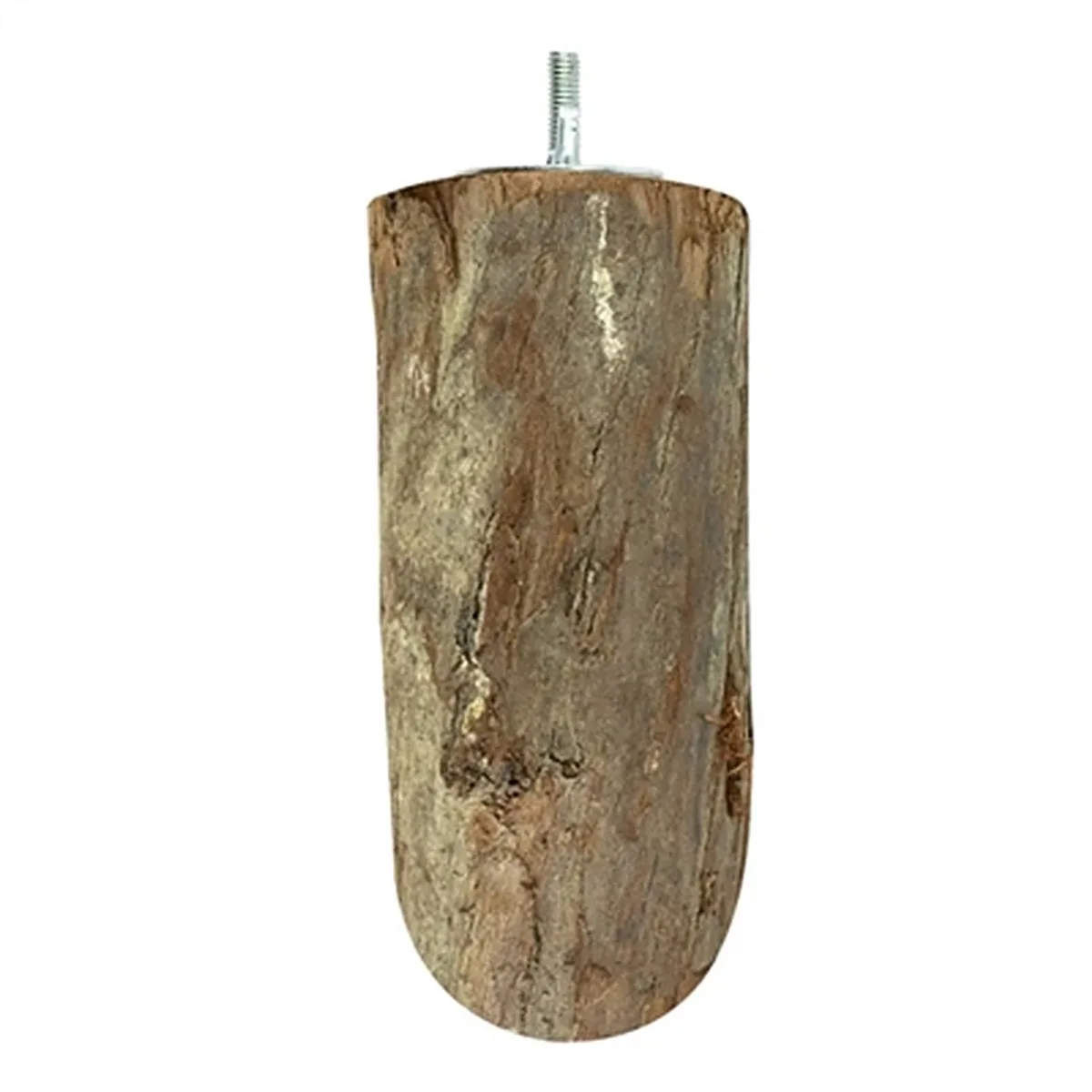 Wood Slice Perch BACK ZOO NATURE - Natuurlijke Zitstok Hout - 17,5x8,5x4 cm Geschikt voor Parkieten en Papegaaien de Back Zoo Nature – photo produit