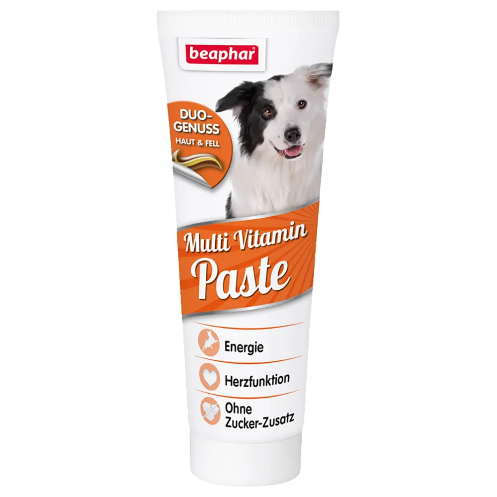 250g Multi Vitamine Pasta met Biotine Beaphar Hondensnack by Beaphar – product photo