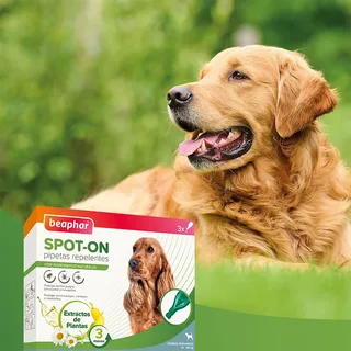 Antiparasitäre Abweisende Pipetten Für Hunde 2ml 3 Einheiten von Beaphar – Produktfoto 2 von 6