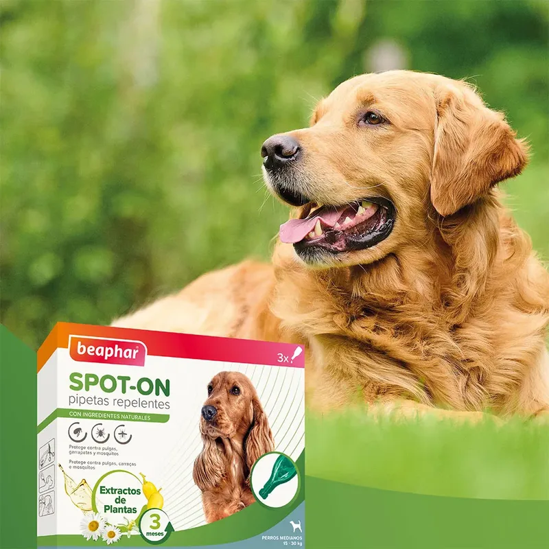 Antiparasitäre Abweisende Pipetten Für Hunde 2ml 3 Einheiten von Beaphar – Produktfoto 2 von 6