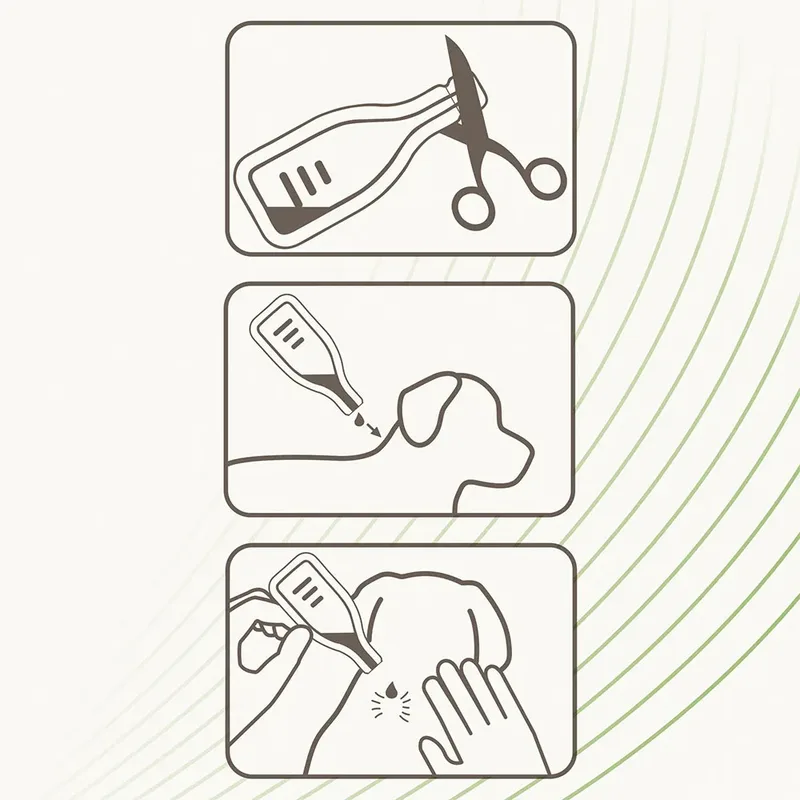 Antiparasitäre Abweisende Pipetten Für Hunde 2ml 3 Einheiten von Beaphar – Produktfoto 6 von 6