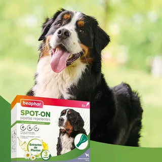 Antiparasitaire Afstotende Pipetten Voor Honden 2ml 6 Eenheden by Beaphar – product photo 2 of 6