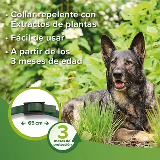 Collier Antiparasitaire Bio 65 Cm by Beaphar – product photo 2 of 4