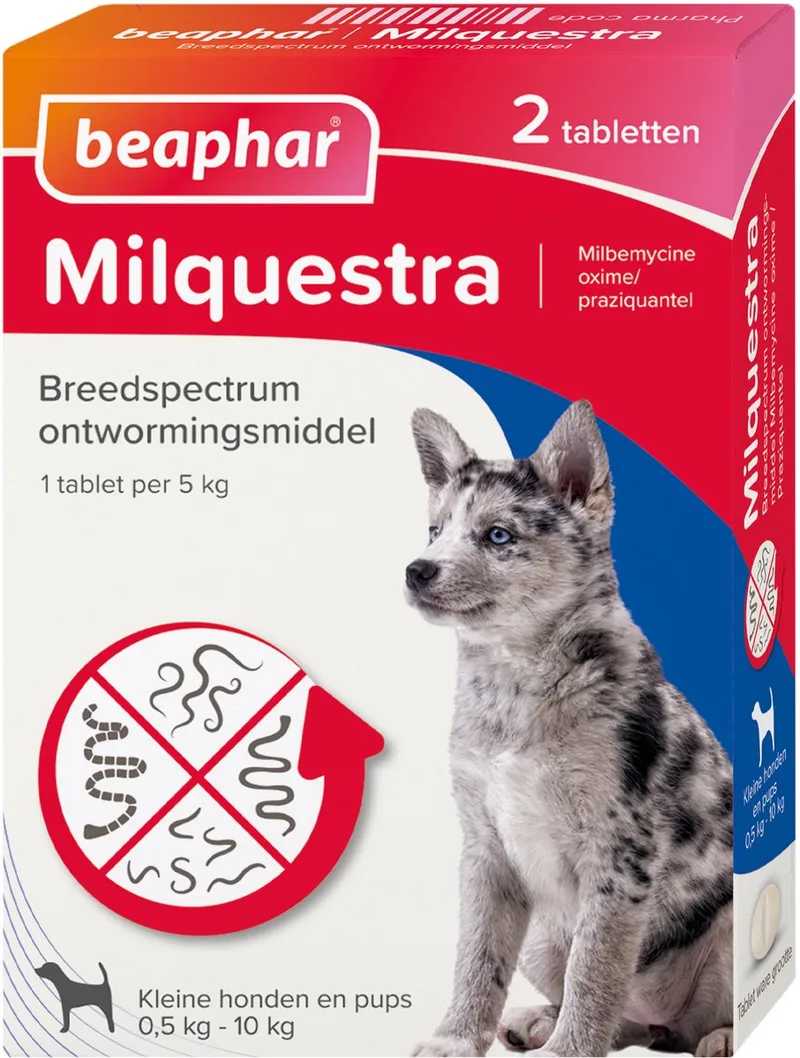 Milquestra Kleine Hond/Puppy - Ontwormingsmiddel - 2 Tabletten by Beaphar – product photo