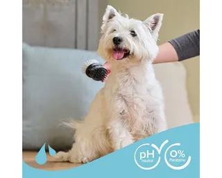 Shampoo Witte vacht hond 1L by Beaphar – product photo 4 of 4