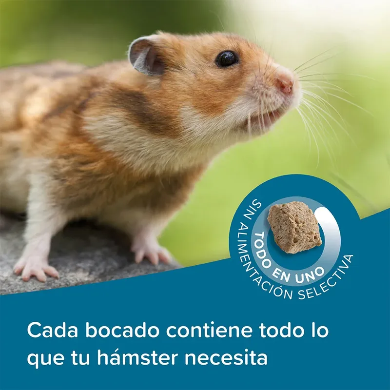 Xtravital Care+ Hamstervoer - 700 gr von Beaphar – Produktfoto 6 von 6