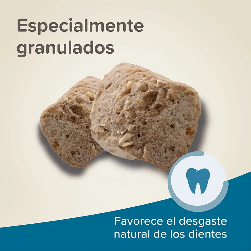 Xtravital Care+ Hamstervoer - 700 gr von Beaphar – Produktfoto 5 von 6