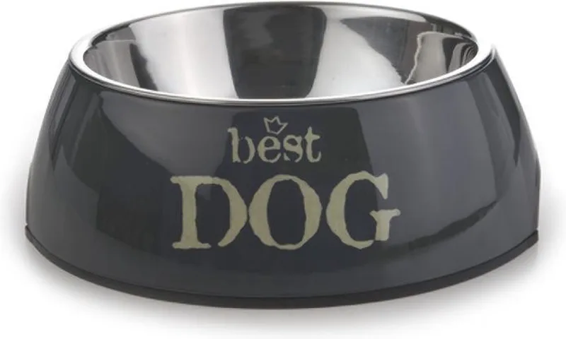 Best Dog - Hondenvoerbak - 14x4,5 cm by Beeztees in Grey – product photo