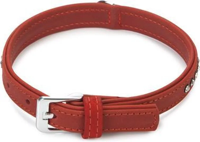Buffalo Strass - Hondenhalsband - 30-36 cm x 17 mm by Beeztees in Red – product photo