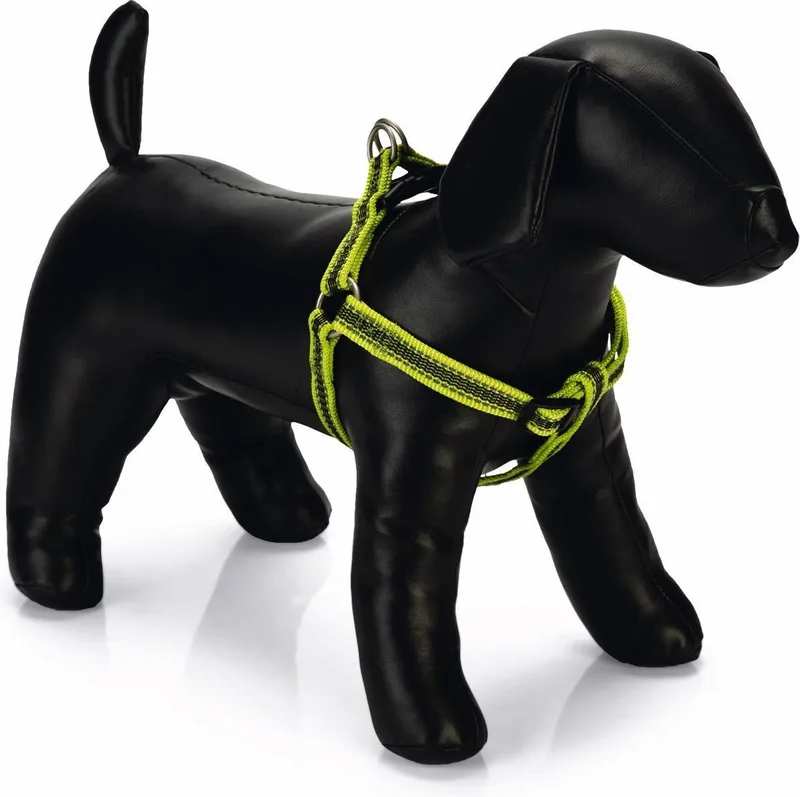 Cabo - Hondentuig - Nylon - 60-100 cm x 25 mm by Beeztees in Yellow – product photo
