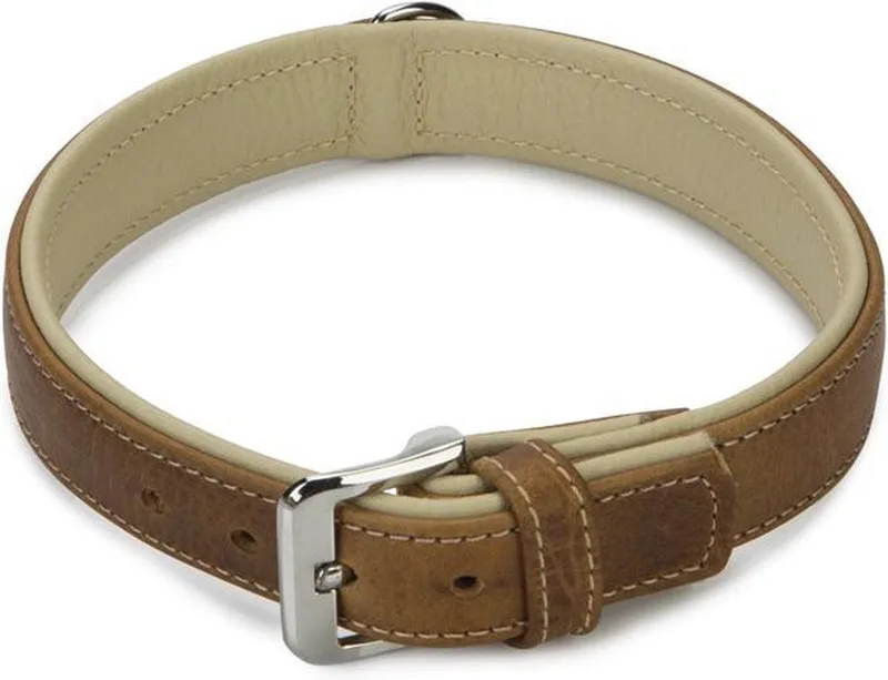 Comfort - Halsband Hond - Leer - 55 cm x 30 mm von Beeztees in Braun – Produktfoto