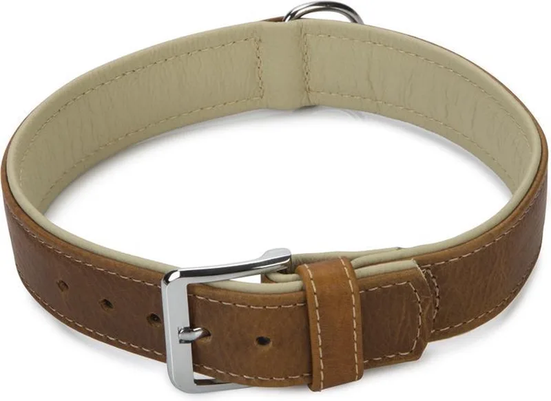 Comfort - Halsband Hond - Leer - 65 cm x 40 mm by Beeztees in Brown – product photo