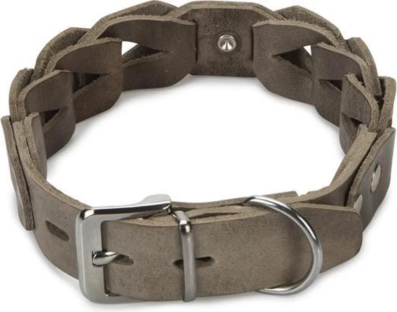Connex - Halsband Hond - Leer - 55 cm x 30 mm de Beeztees en Gris – photo produit