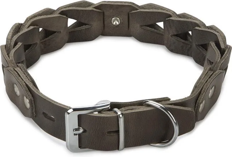 Connex - Halsband Hond - Leer - 60 cm x 30 mm by Beeztees in Grey – product photo
