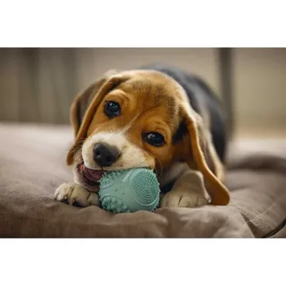 Dentale Bal Puppy Speelgoed van Beeztees – productfoto 2 van 2