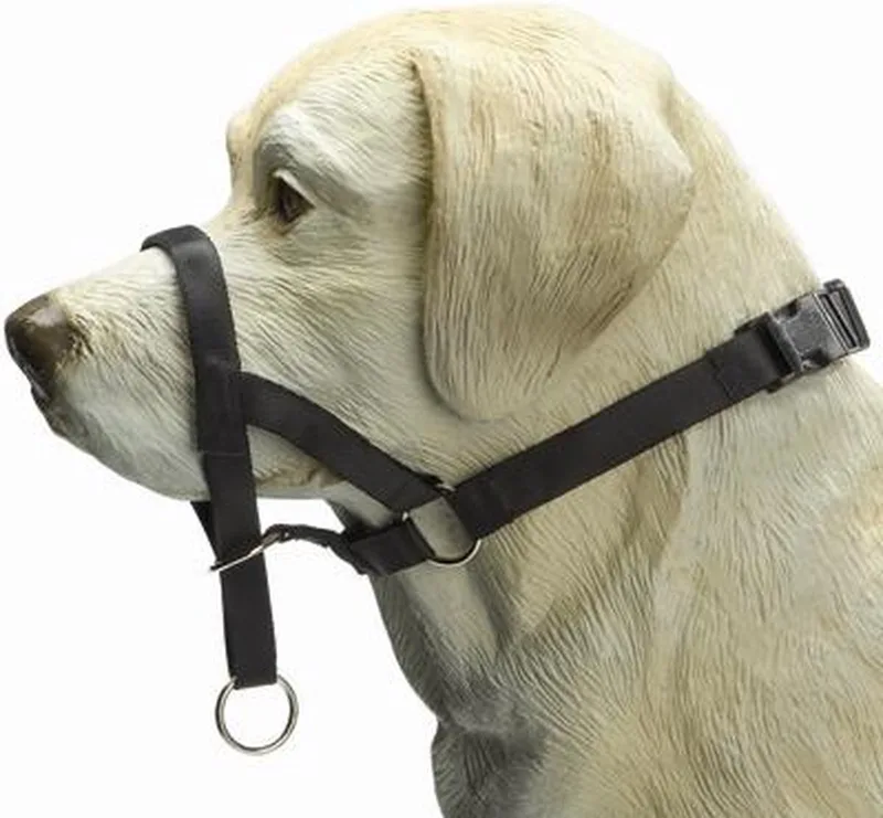 Dog Control - Halsband Hond - M - Snuitomtrek 32 cm by Beeztees in Black – product photo