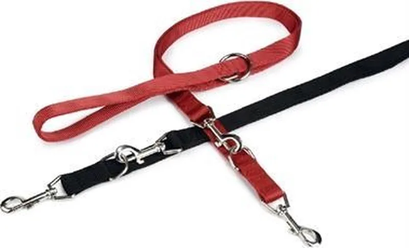 Dressuurlijn - Hondenriem - 200 cm x 25 mm by Beeztees in Red – product photo