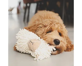 Jouet Pour Chien Sheeep Jovi de Beeztees en Beige – photo produit 4 sur 4