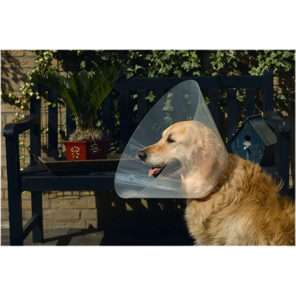 Collerette élisabéthaine Pour Chien de Beeztees – photo produit