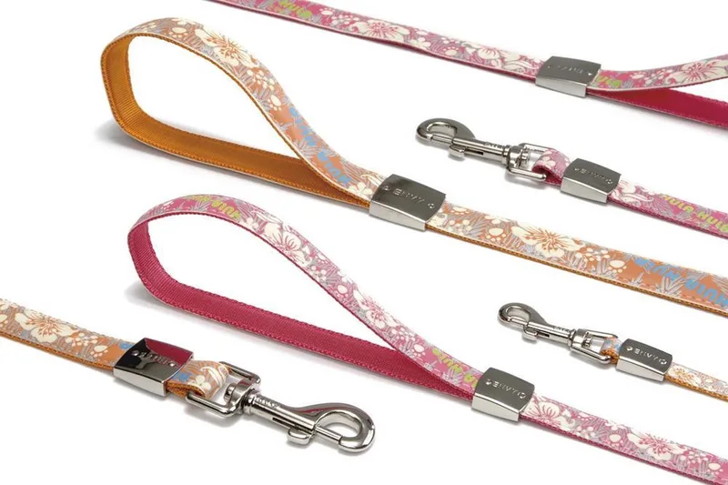 Envy looplijn Hula Hula. by Beeztees in Orange – product photo